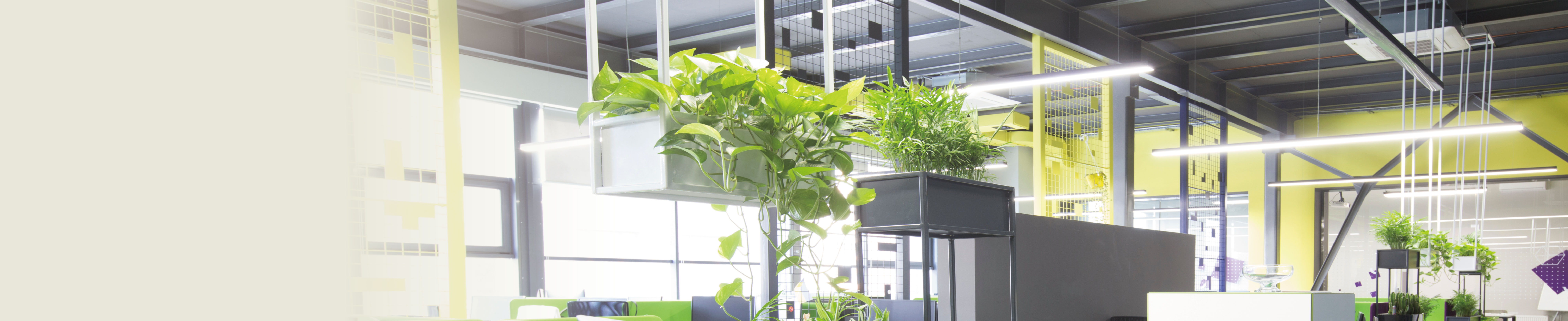 level 3c_L3_OP_iBMS D.jpg